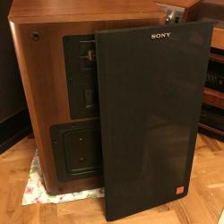 Sony APM-66 Mark II 200W/6ohms 